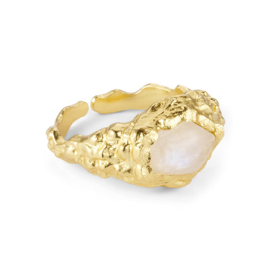 foil ring med natursten